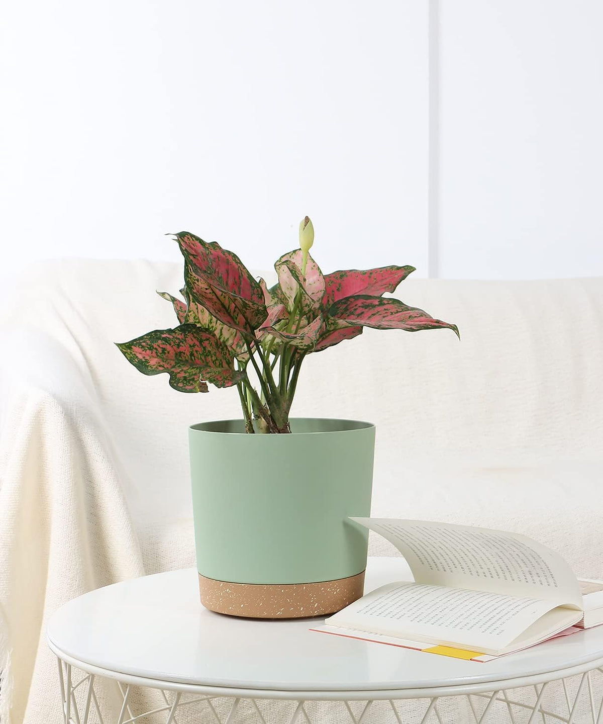 kubvici Indoor Plant Pots Set of 2 Planters 8 inch Plastic Planter with Hole & Saucer Modern