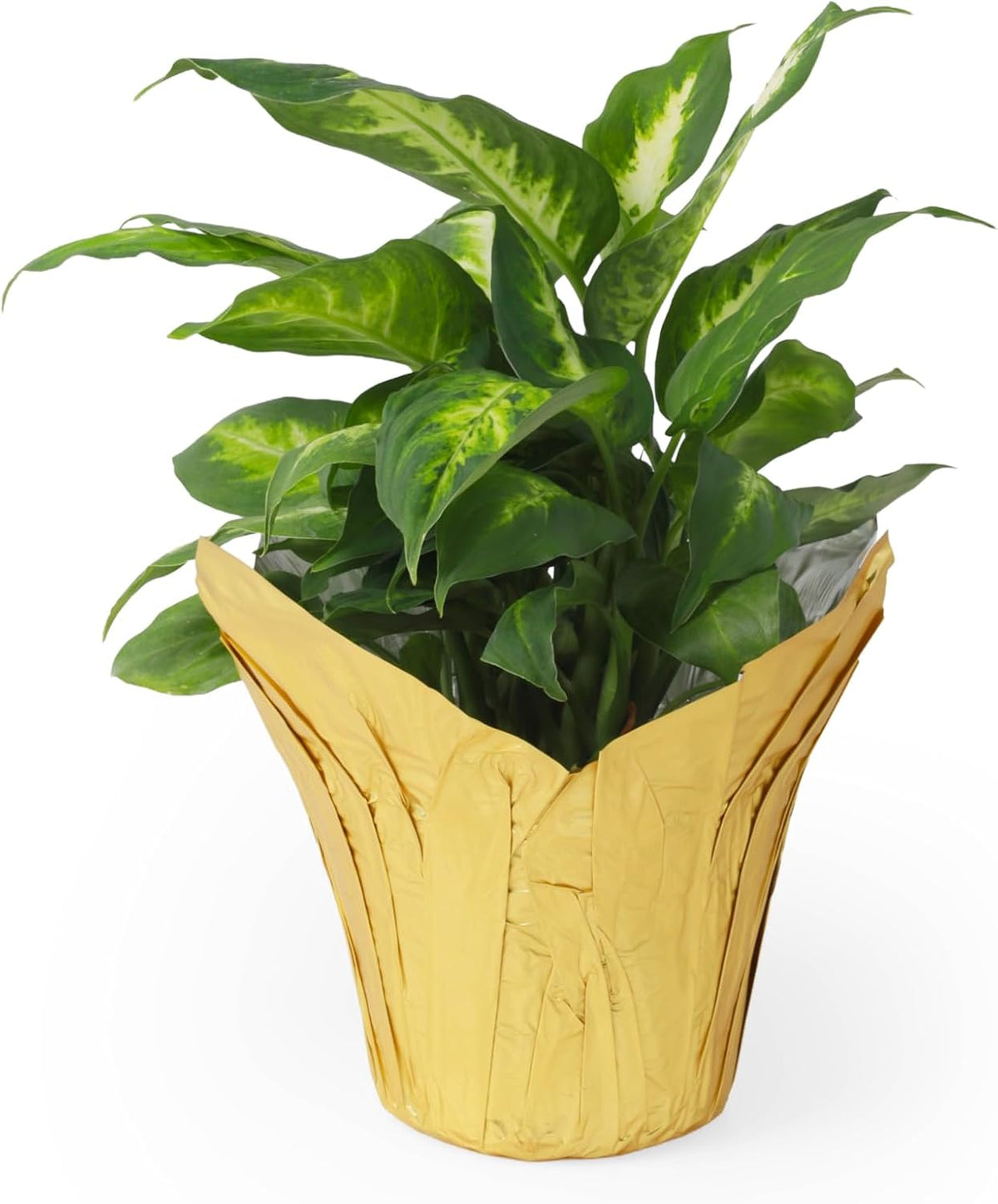 6” AZA Plant Pot Covers, Decorative Plant Sleeve for Indoor & Outdoor House Plants, Reusable and