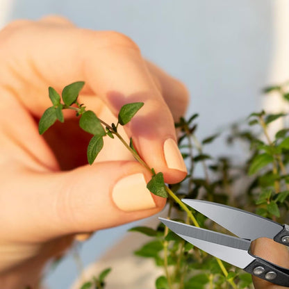 2 Pcs Bonsai Pruning Scissors for plants, Mini plant trimmers & Sewing Snips for Bud Leaves Flowers