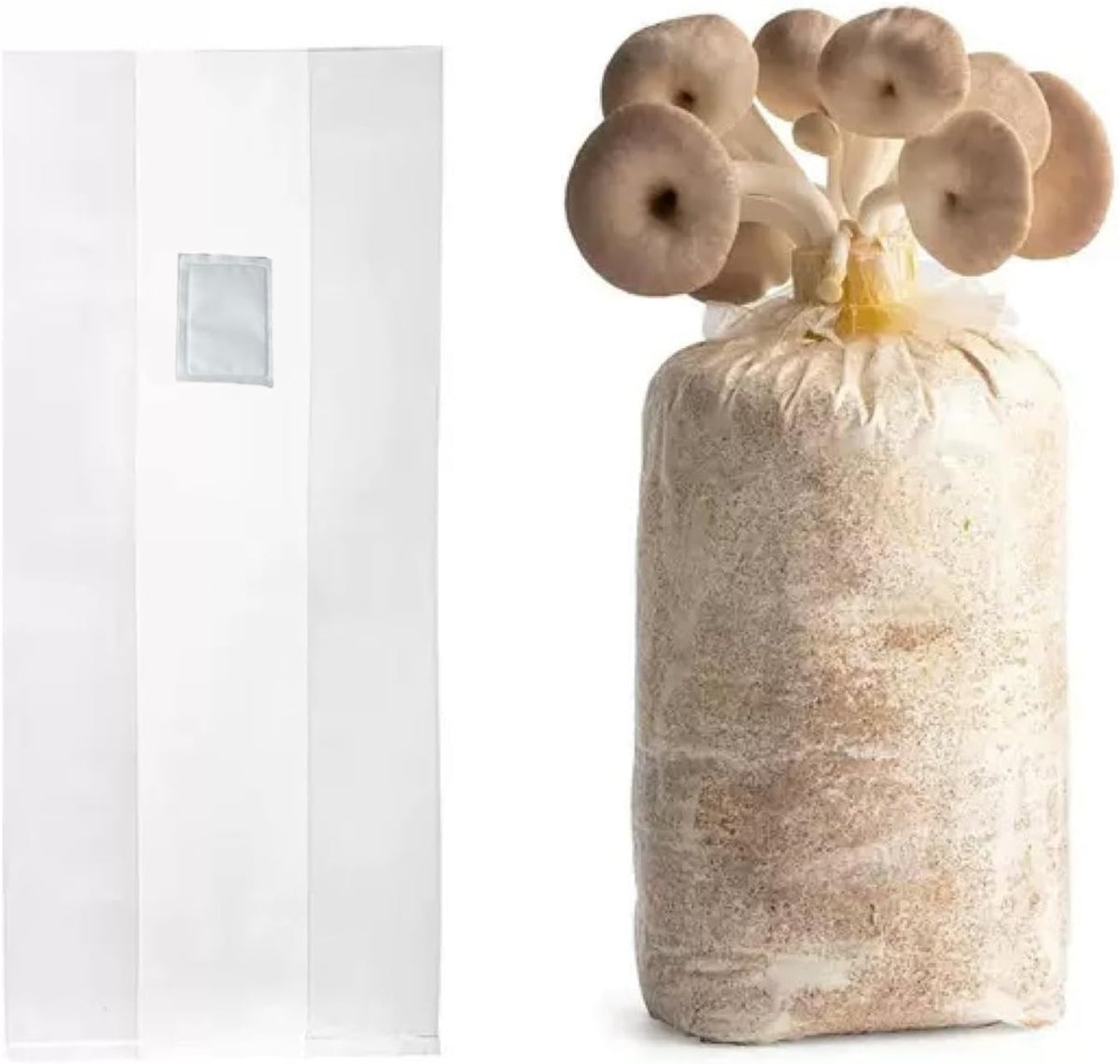 Sealable Mushroom Grow Bags with 0.2 Micron Filter,10''x5.5''x24'',0.08mm/3.15mil Thick PP,Extra