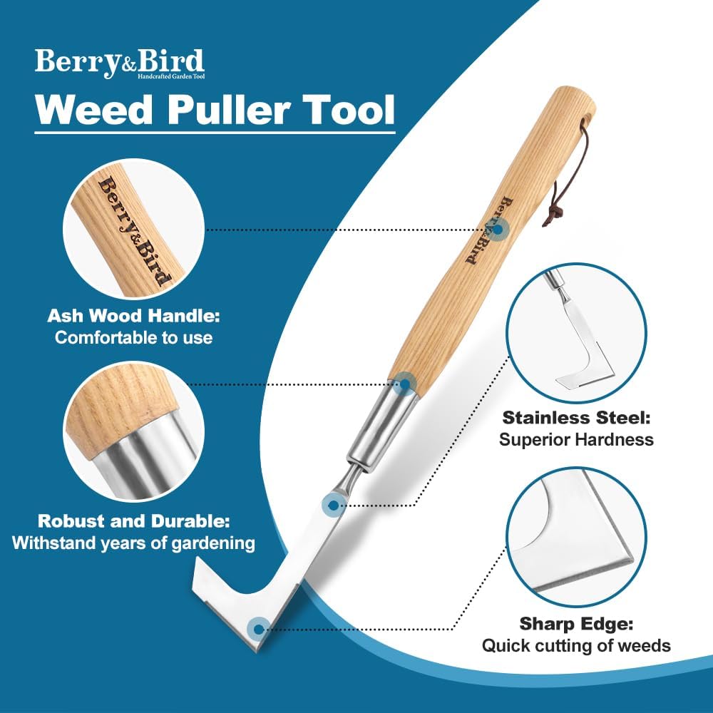 Berry&Bird 15.2'' Crack Weeder Crevice Weeding Tool with Ashwood Handle, Manual Weed Puller for