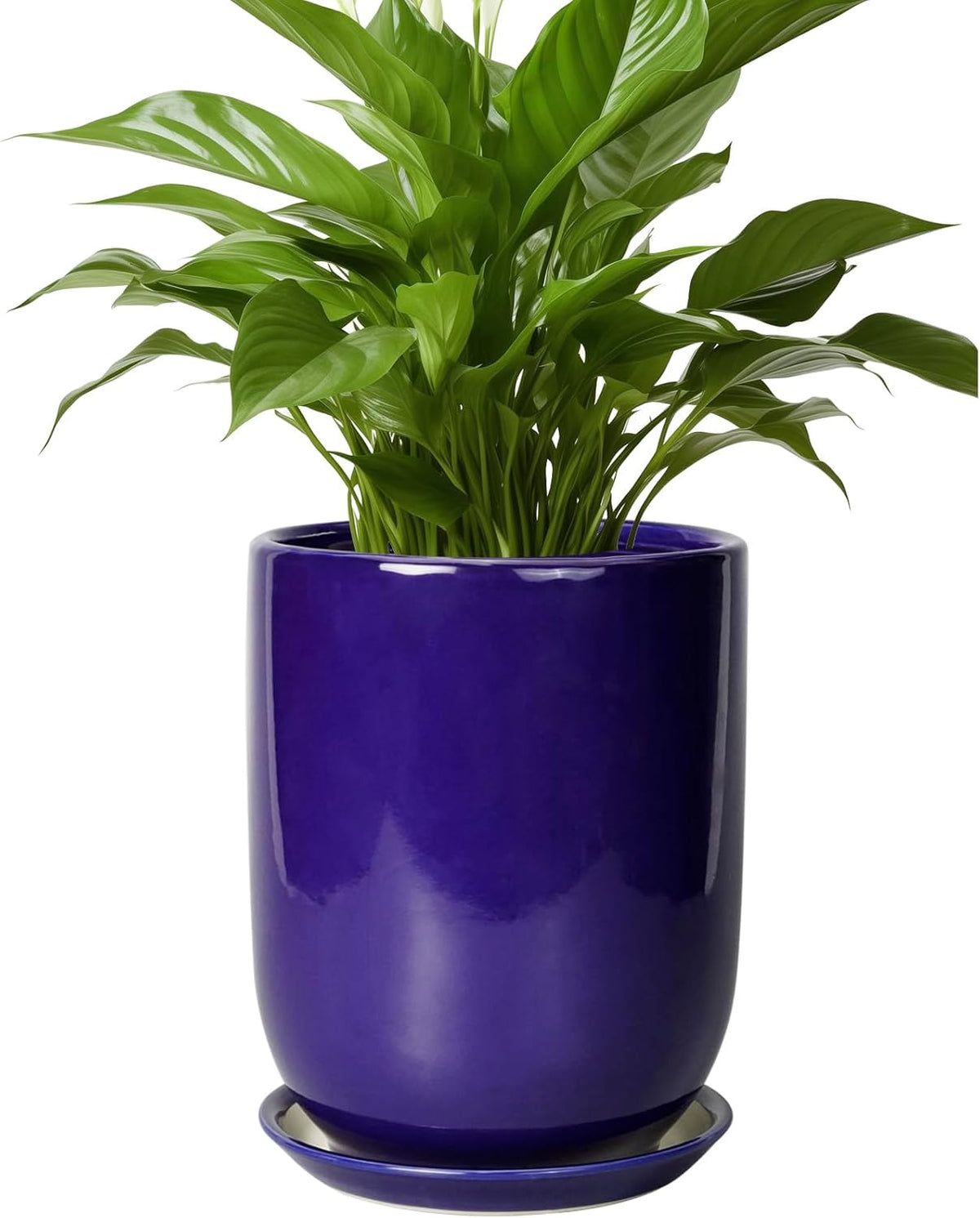 Ceramic Plant Pot - 8 Inch Planter for Indoor Plants Outdoor Flower Pot with Drainage Hole and