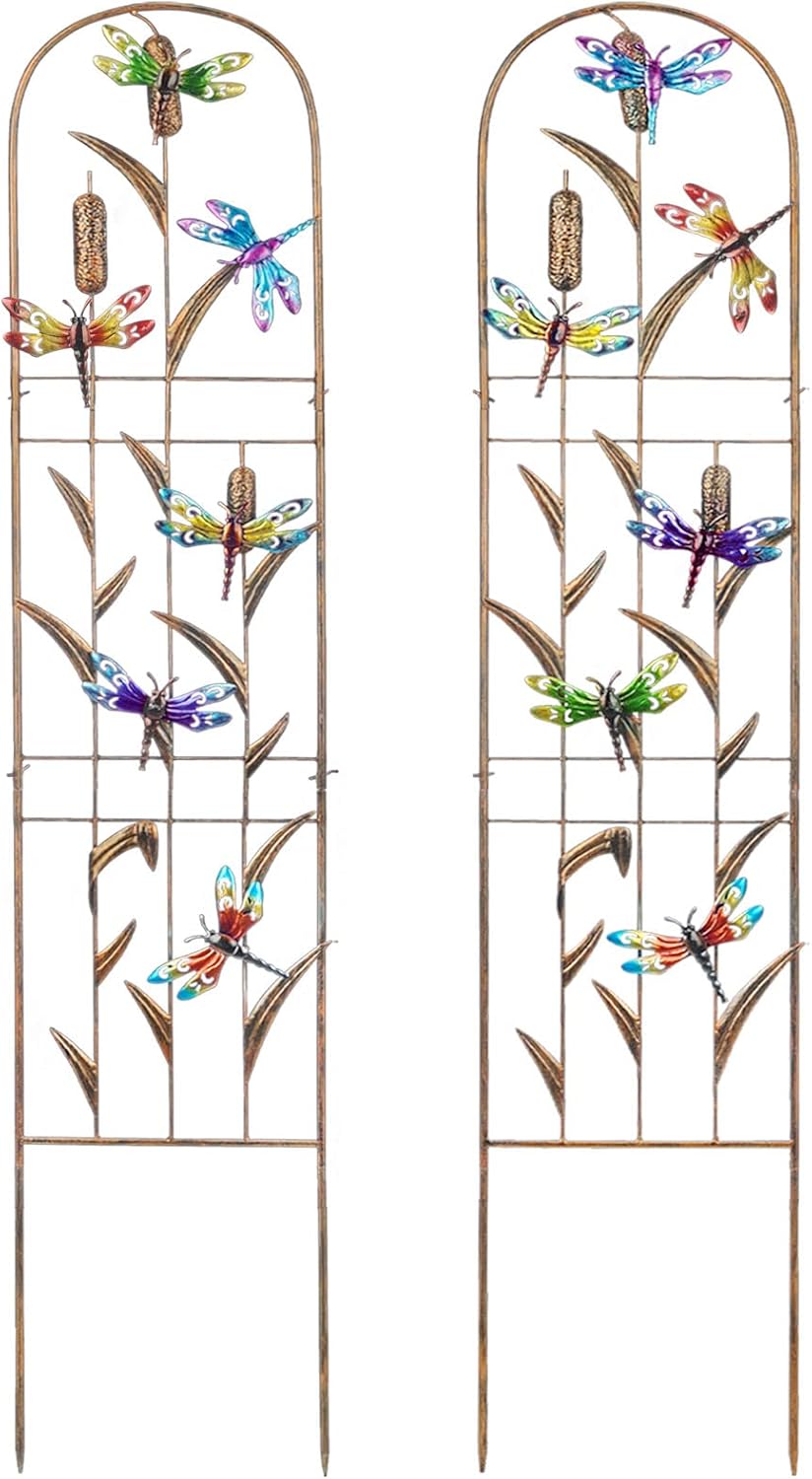 SUNNYPARK Set of 2 Dragonfly Metal Garden Trellis for Climbing Plants, Decorative Vegetables