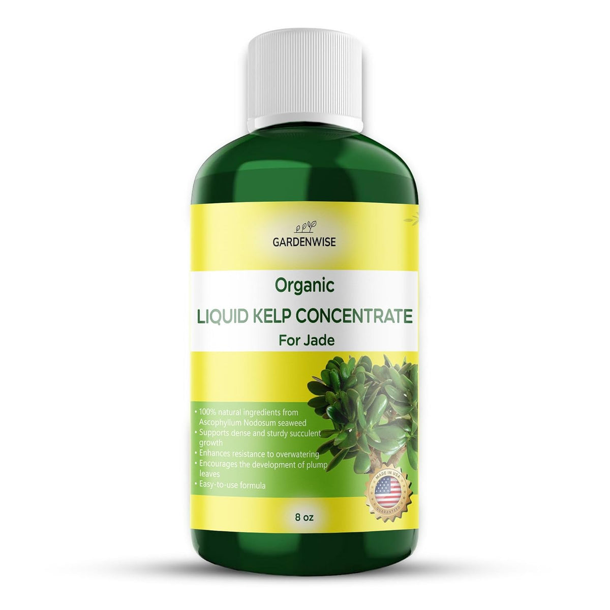 Organic Premium Kelp Seaweed Concentrate for Jade - Liquid Fertilizer - Liquid Plant Food