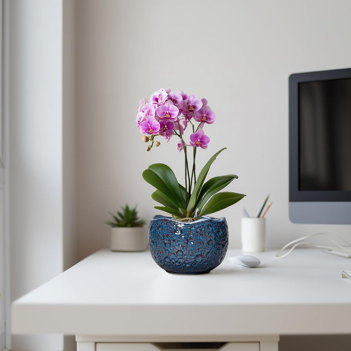 6 Inch Plant Pot - Ceramic Pots for Plants with Drainage Hole, Round Orchid Pot, Unique Planter for