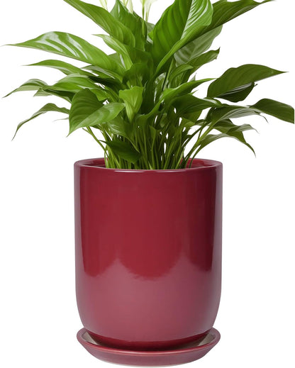 Ceramic Pot for Plants - 8 Inch Plant Pot Indoor with Drainage Hole and Saucer Cylinder Flower Pot