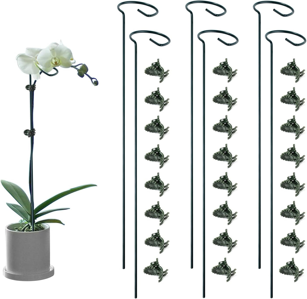 6 Pack Plant Support Stakes with 24 Pcs Plant Clips,Single Stem Support Stake Plant Cage Support