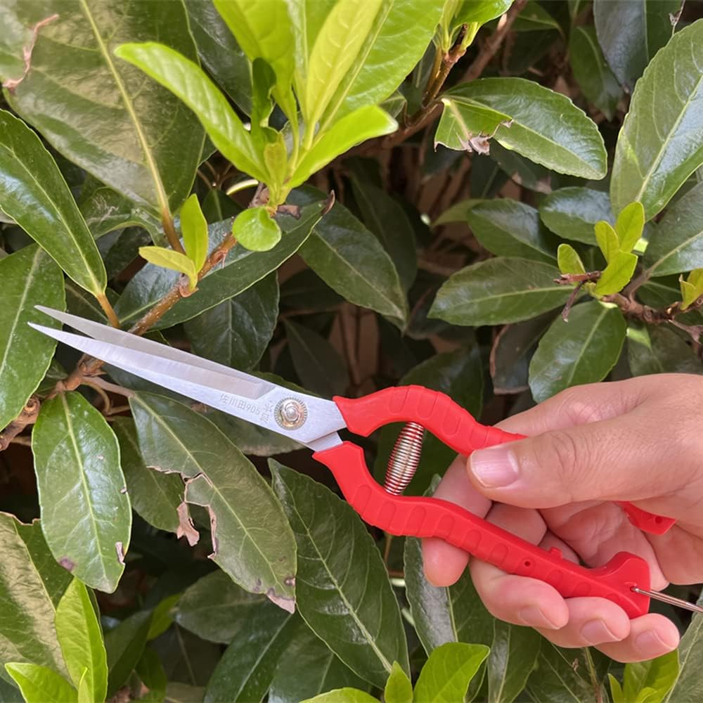 2pack Zsling Extra Long Edge Stainless Steel Pruning Shears Fruit Trees Bonsai Sharp Garden