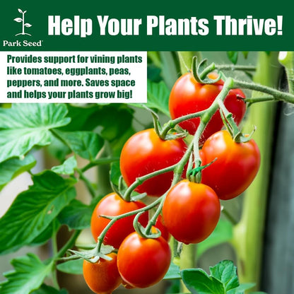 Park Seed Tomato Cages – 39" Tall Heavy-Duty Plant Supports for Tomatoes, Peppers, Cucumbers, and