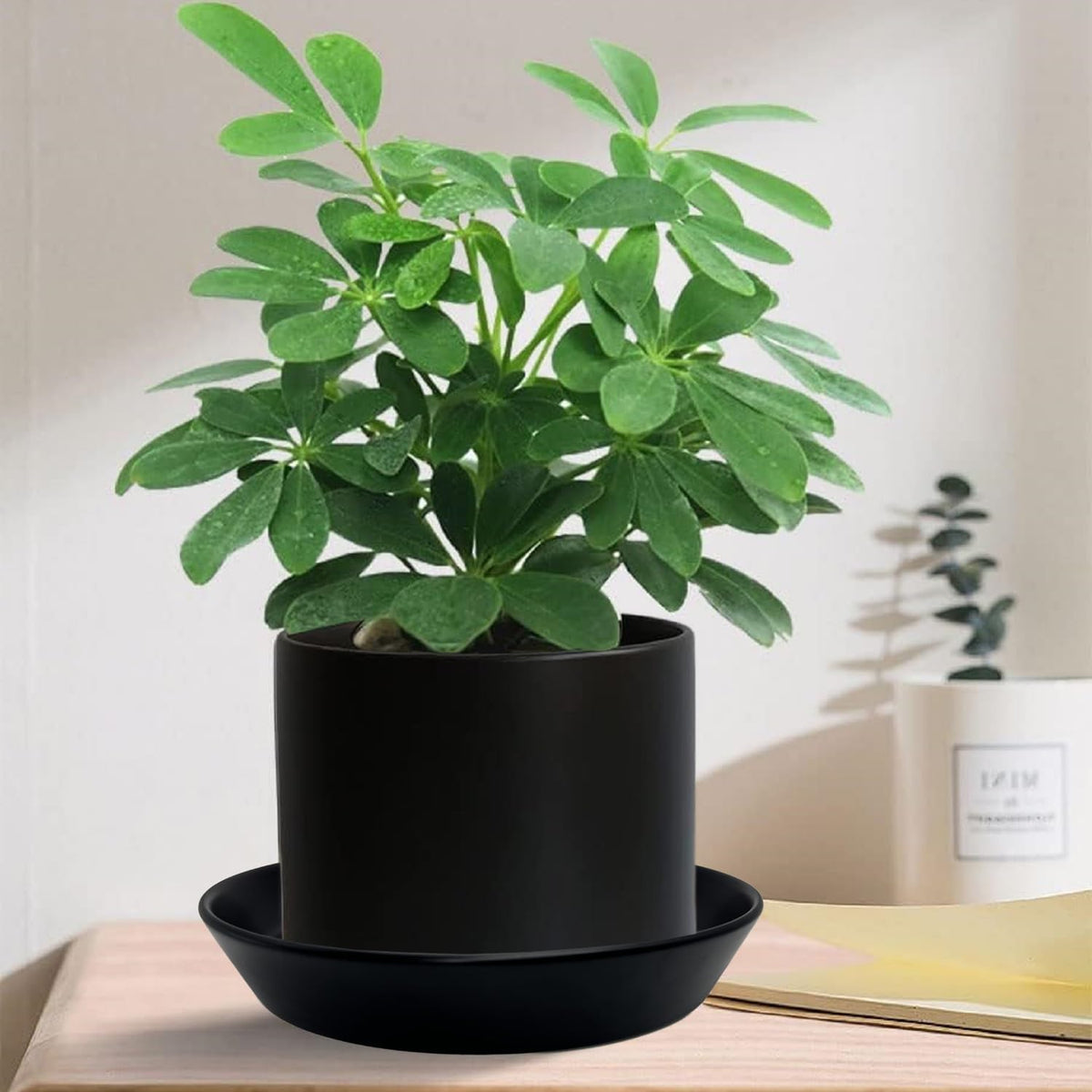 2 Pack 8 Inch Flower Pot Saucers - 9 Inch (8.7 Inch) Ceramic Plant Saucer for Outdoors & Indoors