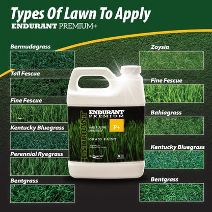 Endurant Turf Colorants - Premium Spray On Green Grass Paint for Lawns - Revives Dry, Patchy Yards