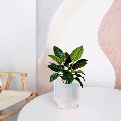 LB Blue White Ceramic Planters for Indoor Plants, Succulent Plant Pots Ceramic Plant Pot, Modern