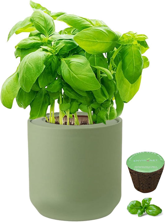 Hydroponic Herb Growing Kit, Self-Watering Kitchen Herb Garden Starter Kit with Green Ceramic Pot