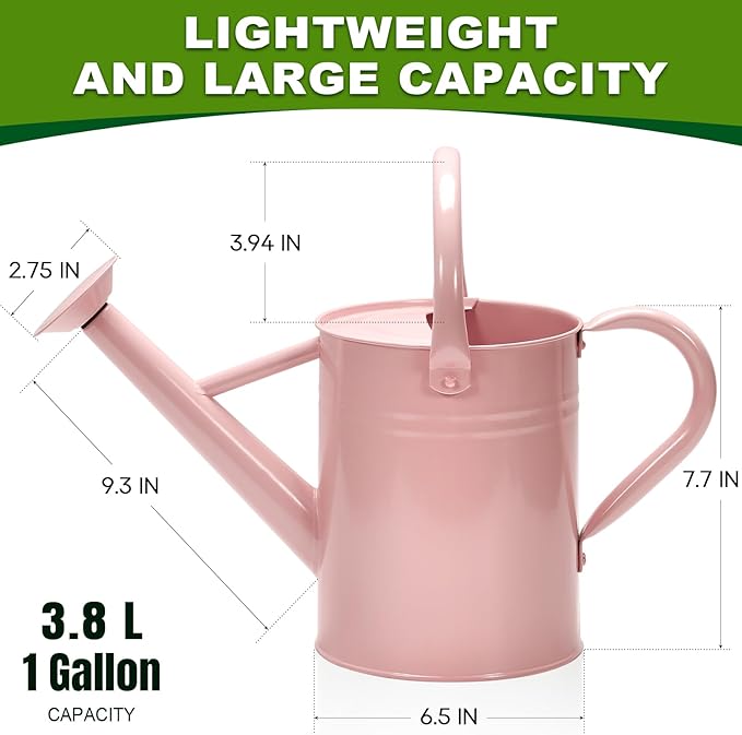 Metal Watering Can with Removable Spout, Galvanized Watering Can, Perfect for Indoor Use and for