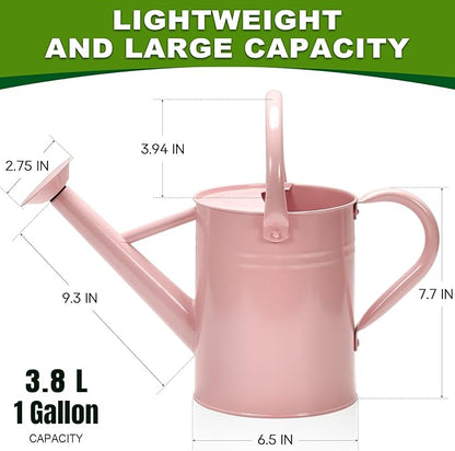 Metal Watering Can with Removable Spout, Galvanized Watering Can, Perfect for Indoor Use and for