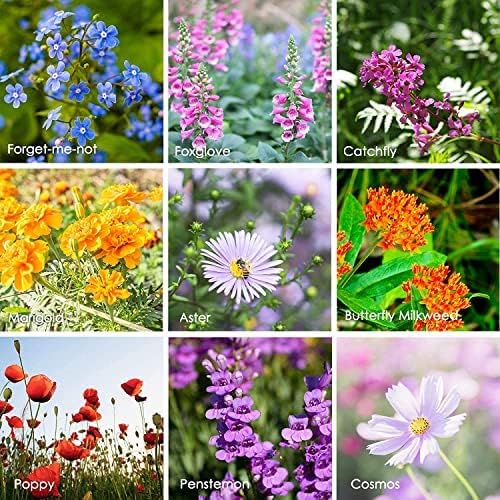 Pollinator Wildflower Seeds Bulk – 5 lb, 3.2 Million+ Seeds – 23 Variety Mix for Hummingbirds &