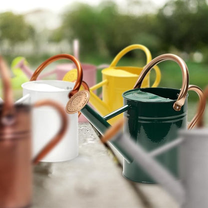 Metal Watering Can with Removable Spout, Galvanized Watering Can, Perfect for Indoor Use and for