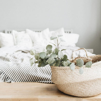 Park Seed Grow Your Own Eucalyptus Seeds Plant, Perfect for Indoor Growing and Spring Garden