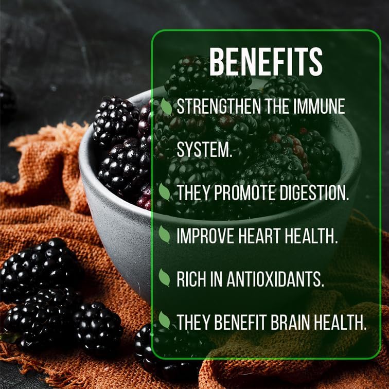 BlackBerry Plant Freedom-Ark (4 Pack) | Live Fruit Plant for Planting | Thornless & High-Yielding