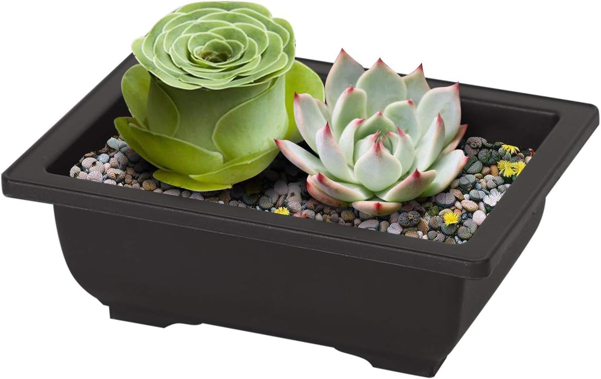 KINJOEK 15 PCS 6.5 Inch Plant Pot, Rectangular Plastic Bonsai Training Pots with 15 Humidity Trays