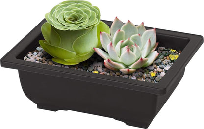 KINJOEK 15 PCS 6.5 Inch Plant Pot, Rectangular Plastic Bonsai Training Pots with 15 Humidity Trays
