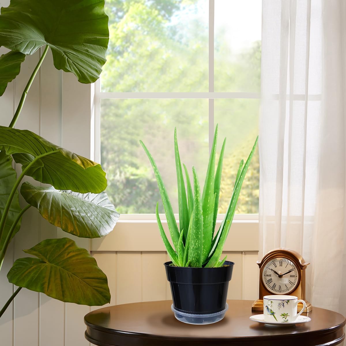 12 Pack Plant Pots, 8 Inch Plant Planter with Clear Saucer, Plastic Pots for Plants Indoor and Out