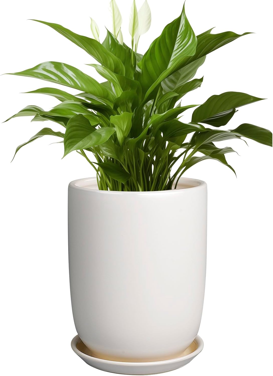 Plant Pot 8 Inch - Ceramic Planter for Indoor Plants Outdoor, Large Plant Pot with Drainage Hole