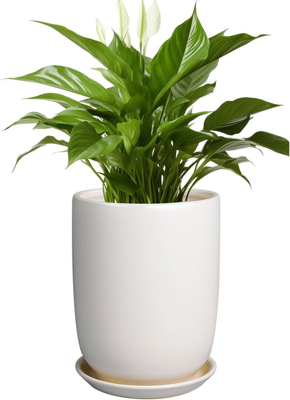 Plant Pot 8 Inch - Ceramic Planter for Indoor Plants Outdoor, Large Plant Pot with Drainage Hole
