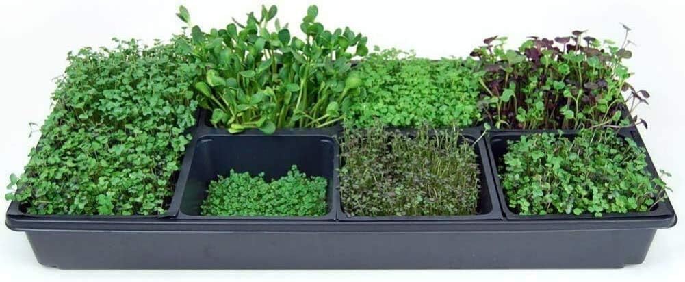 Handy Pantry Micro-Mat Minis Hydroponic Grow Pads - for Organic Production - Plant & Seed