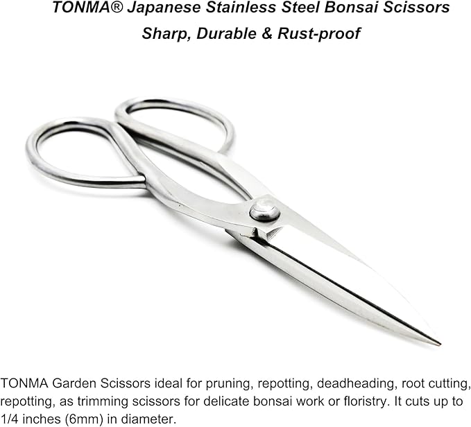 TONMA Ashinaga Bonsai Scissors [Made in Japan] 8 inch Soild Stainless Steel Hasami Pruning Shears