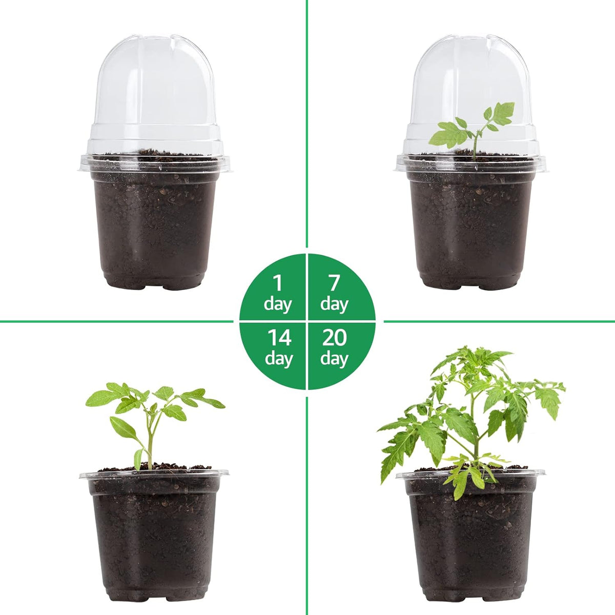 30 Packs 4 Inch Reinforced Clear Nursery Pots with Humidity Dome, Transparent Variety Pack Plastic