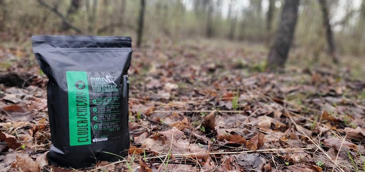Pure Whitetail Clover/Chicory | Select Seed Blends | All Season Whitetail Deer & Turkey Perennial