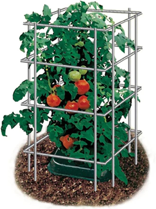 Park Seed Tomato Cages – 39" Tall Heavy-Duty Plant Supports for Tomatoes, Peppers, Cucumbers, and