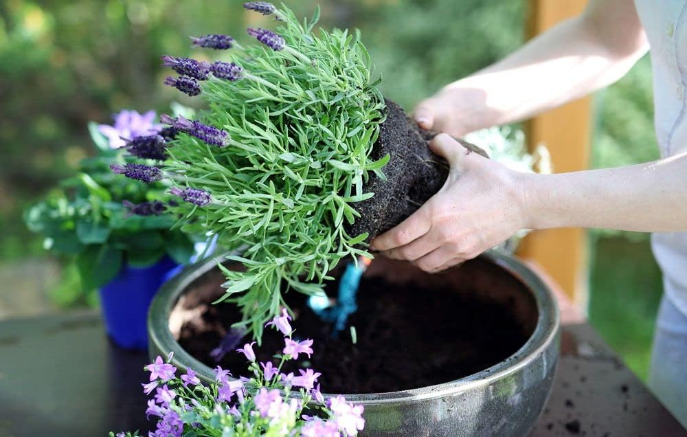 Gardenera Organic Moisture Control Potting Mix - Absorbs 33% More Water Than Basic Potting Soil