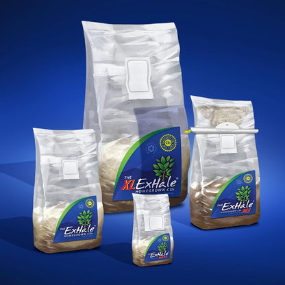Exhale Homegrown CO2 MAX - Largest CO2 Bags for Indoor Grow Rooms & Grow Tents - Foliage Mushroom