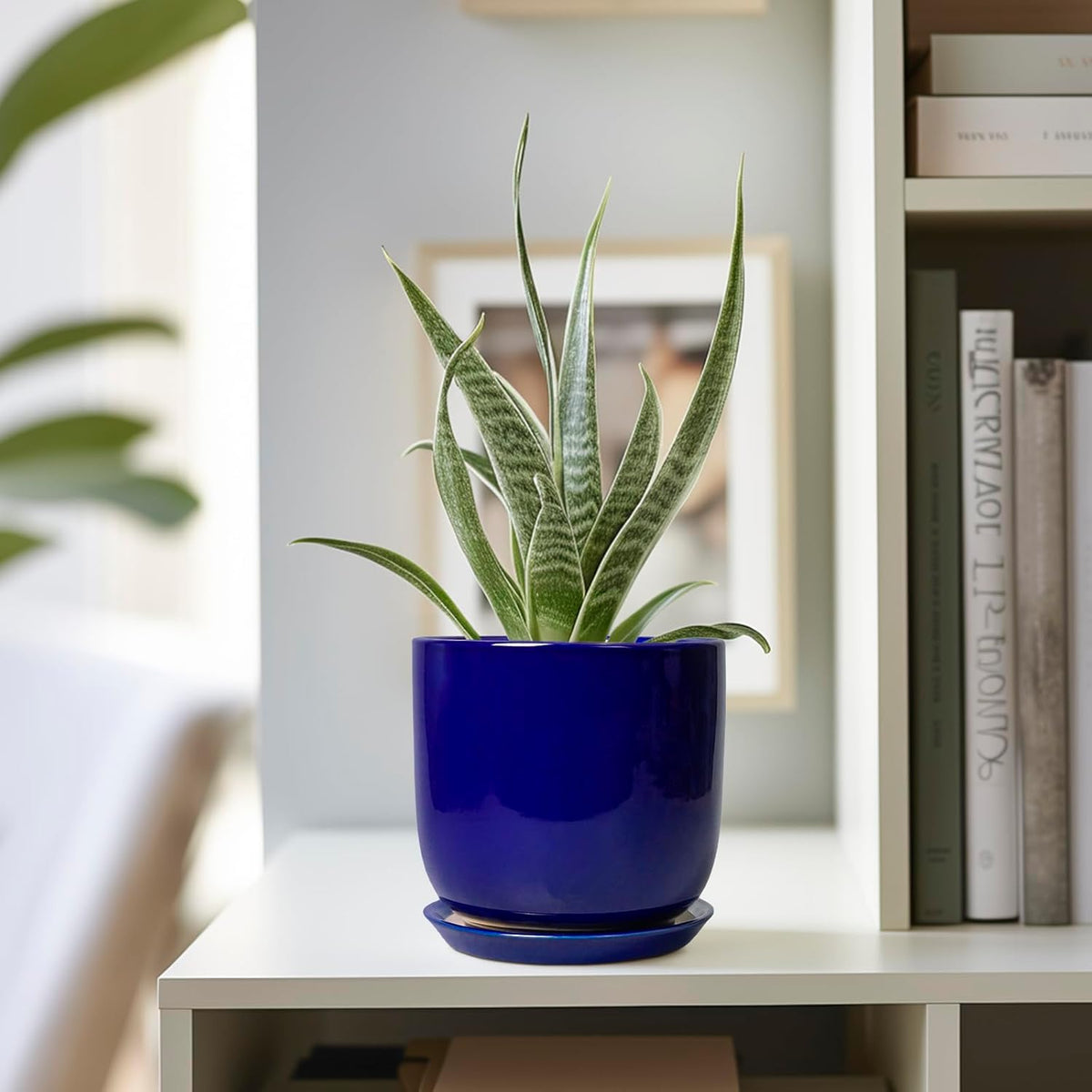 Succulent Pot 5 Inch - Modern Ceramic Planter for Indoor Plants with Drainage Hole and Saucer