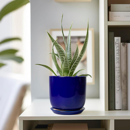 Succulent Pot 5 Inch - Modern Ceramic Planter for Indoor Plants with Drainage Hole and Saucer