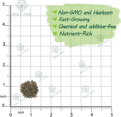 Premium Malabar Spinach Seeds - 100 Heirloom, Non-GMO Seeds for Planting – Easy-to-Grow Climbing