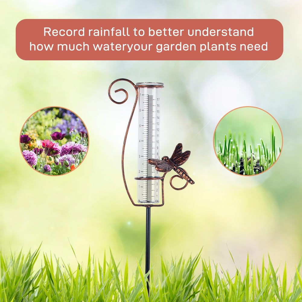 HOBYLUBY Dragonfly Rain Gauge Outdoor with 7 Inch Glass Tube
