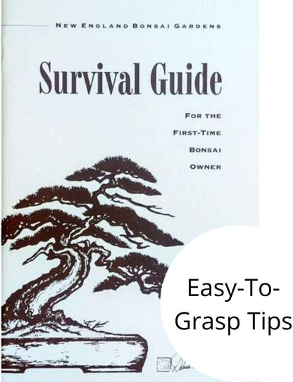 Starter Bonsai Tool Kit - Survival Guide + Set Includes: Butterfly Pruning Shears, Bottle Uncle