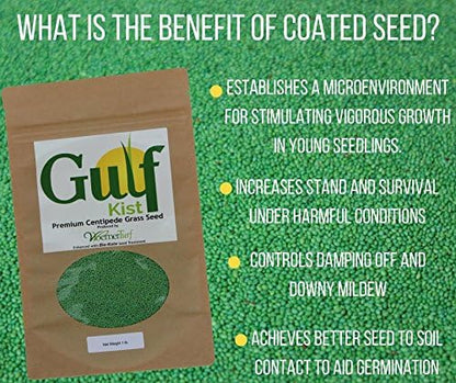 Centipede Grass Seed for a Dense Green Lawn, NO Mulch, 1 lb Coated Seeds, Sun and Moderate Shade
