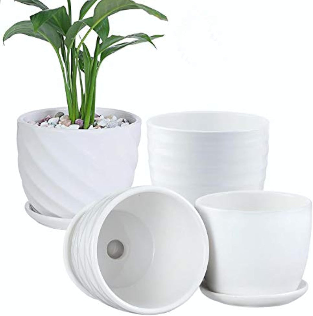 Plant Pots - 4.7 Inch Cylinder Ceramic Planters with Connected Saucer, Pots for Succuelnt and