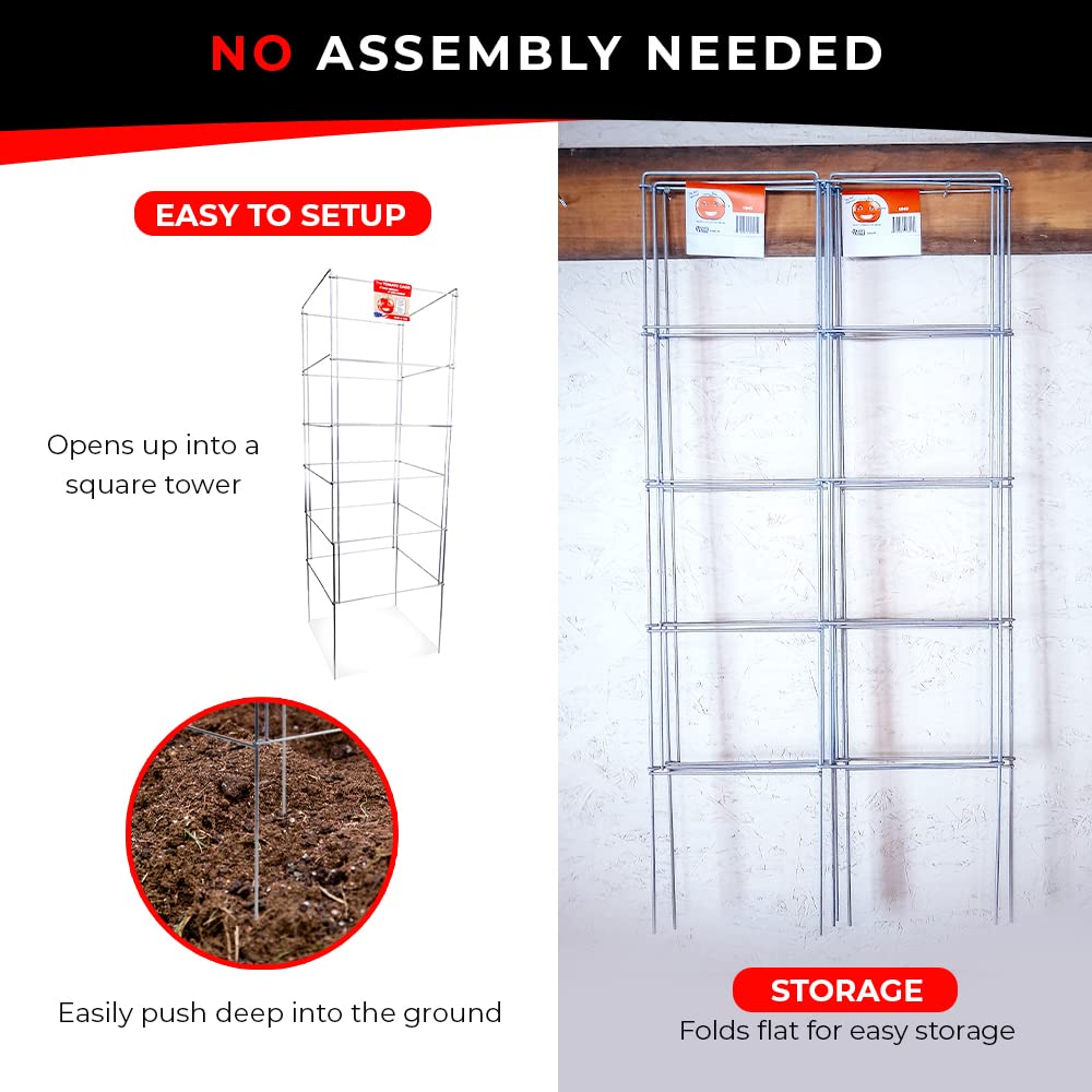 Cedar Ridge Square Foldable Tomato Cages - Made in USA Heavy Duty Plant Support for Vegetable