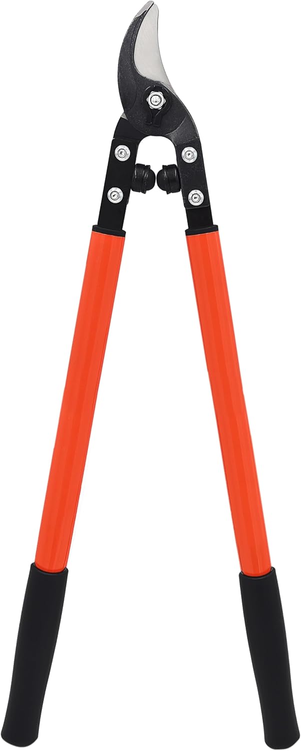 Zenport MV150 Professional Vine and Light Tree Lopper, 1.25-Inch Cut, 24-Inch