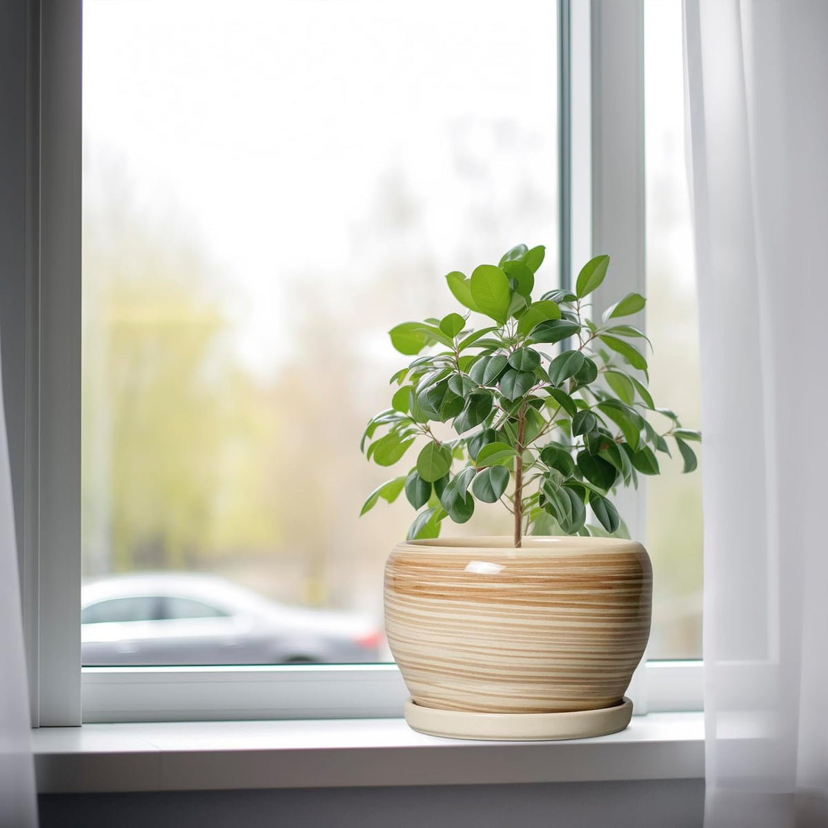 SQOWL Ceramic Planter- 8 Inch Plant Pot Indoor Outdoor, Round Planter with Drainage Hole and Plant