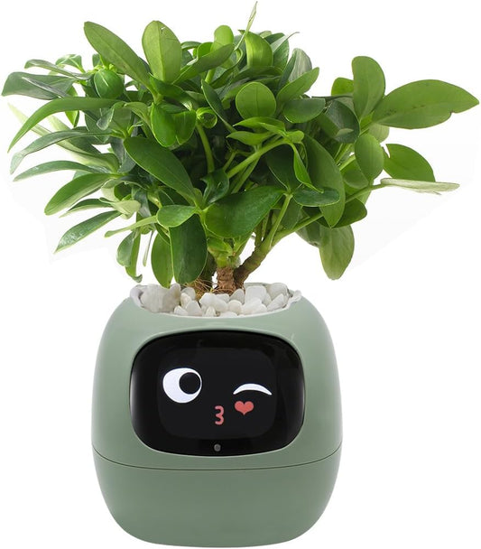 Smart Pet Planter, Smart Plant Pot, With Artificial Intelligence, Time Weather Display, And
