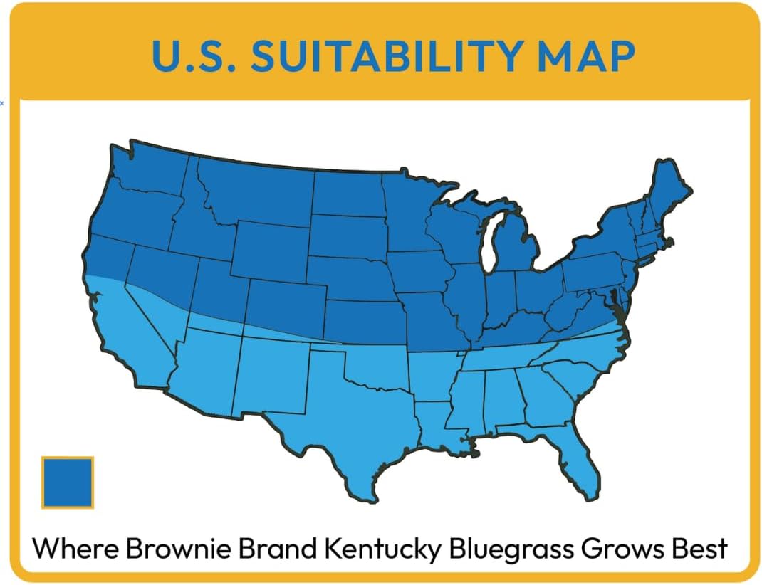 Brownie Brand Kentucky Bluegrass Seed – Premium Lawn Seed for Overseeding, Repairing Bare Spots