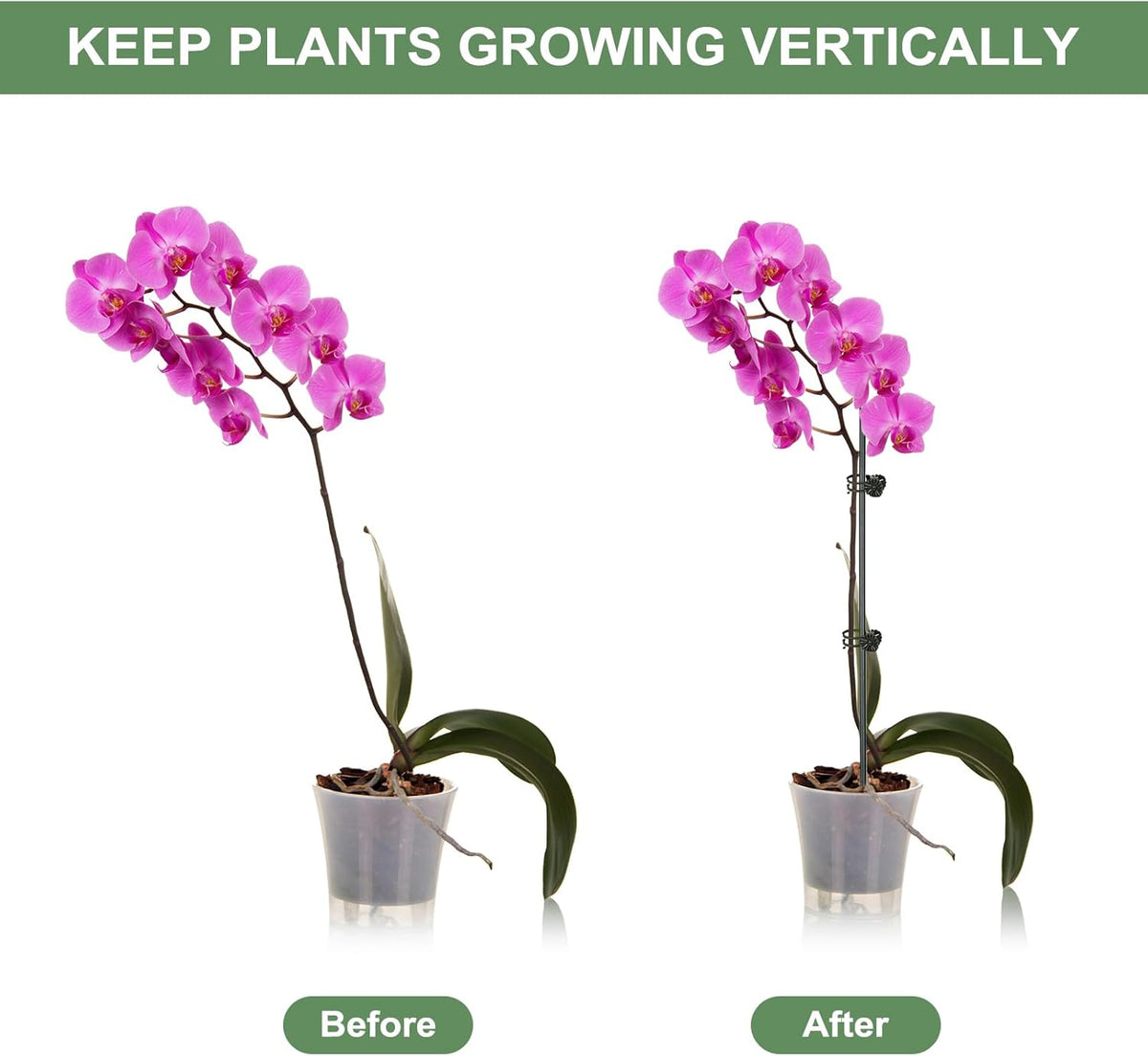 6 Packs Plant Support Sticks for Indoor Plants, Two Sizes (12 or 24 Inches) Orchid Stick and Clip