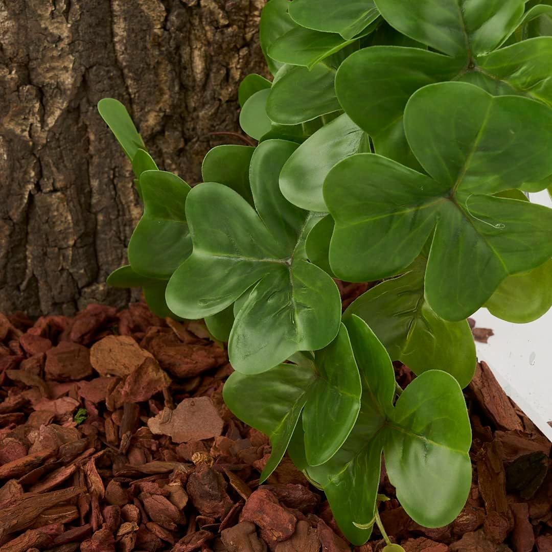 Reptile Plants for Terrarium, Amphibian Habitat Decor Artificial Hanging Plants with Suction Cup