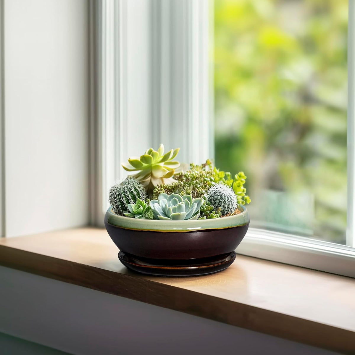 SQOWL Succulent Pots 6 Inch - Shallow Ceramic Planter, Bonsai Pot with Drainage Hole and Saucer